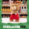 Boneco de pelúcia de ação Ted2-ted