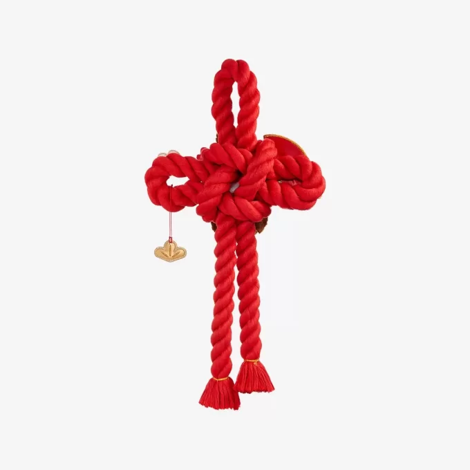 Série de Celebração de Ano Novo da Wealthy Snake – Decoração de Porta de Pelúcia LABUBU